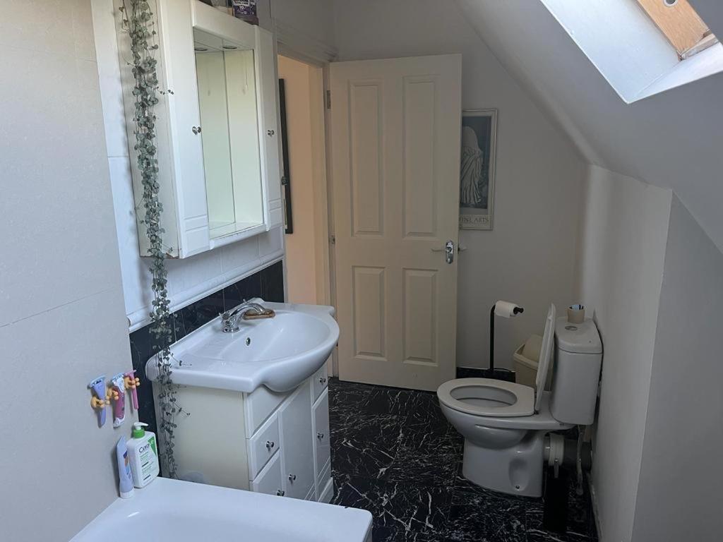 2 Bedroom Top Floor Flat, West Dulwich Free Street Parking Лондон Екстериор снимка